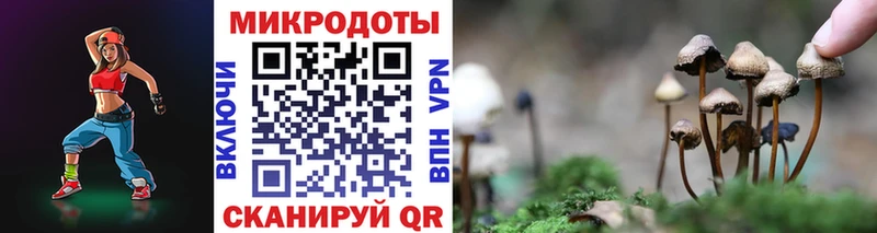 Галлюциногенные грибы Psilocybine cubensis  Томилино 